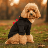 Sudadera de Halloween Dinosaurio para Perro - Forro Polar Cálido - Disfraz Divertido - VyFlair