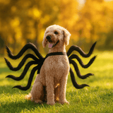Disfraz de Halloween para Perro - Araña Espeluznante - Atuendo Divertido - VyFlair