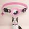 Collar GPS Reflectante con Cierre para Gatos - VyFlair