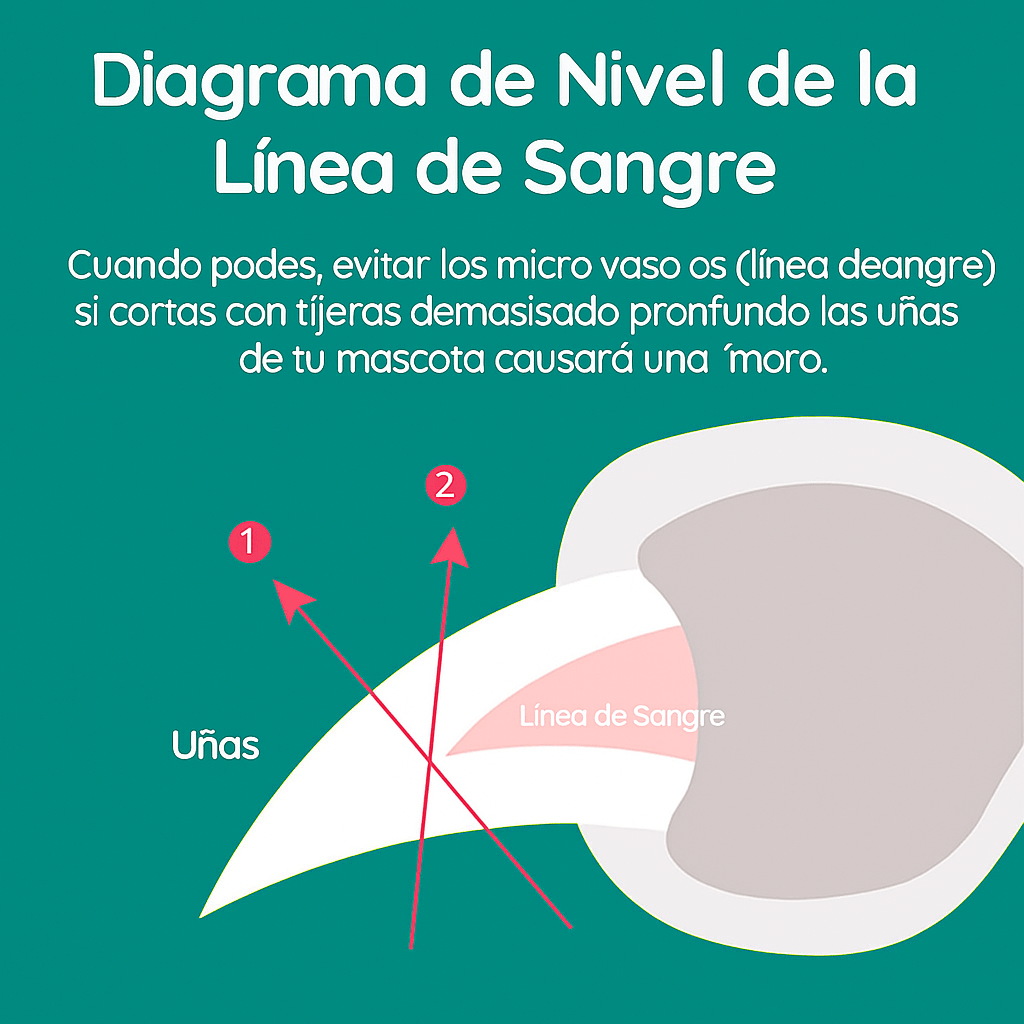 Cortauñas MAX para Perros con Sensores Rápidos - VyFlair
