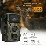 Cámara de Caza y Vida Silvestre con Visión Nocturna - VyFlair