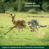 Cámara de Caza y Vida Silvestre con Visión Nocturna - VyFlair