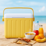 Caja Enfriador Camping 6L Aislada - VyFlair