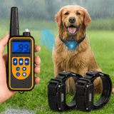 Collar de Perro Eléctrico Impermeable con Control Remoto - VyFlair