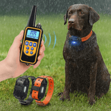 Collar de Perro Eléctrico Impermeable con Control Remoto - VyFlair