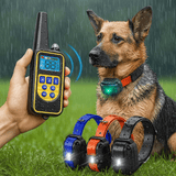 Collar de Perro Eléctrico Impermeable con Control Remoto - VyFlair