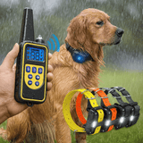Collar de Perro Eléctrico Impermeable con Control Remoto - VyFlair
