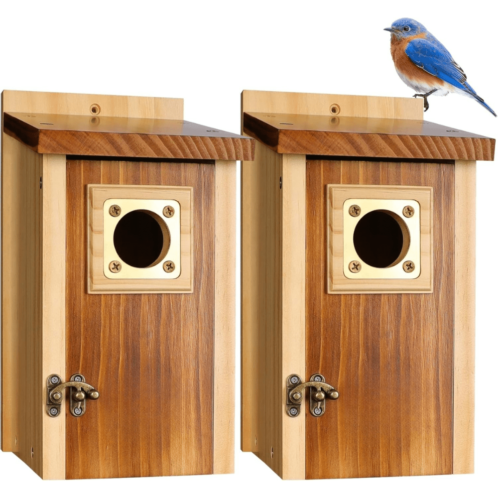 Casa de Pájaros de Cedro con Protector de Cobre - VyFlair