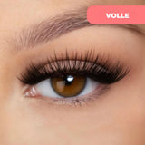 EasyLash Pestañas Magnéticas Reutilizables Sin Pegamento - VyFlair