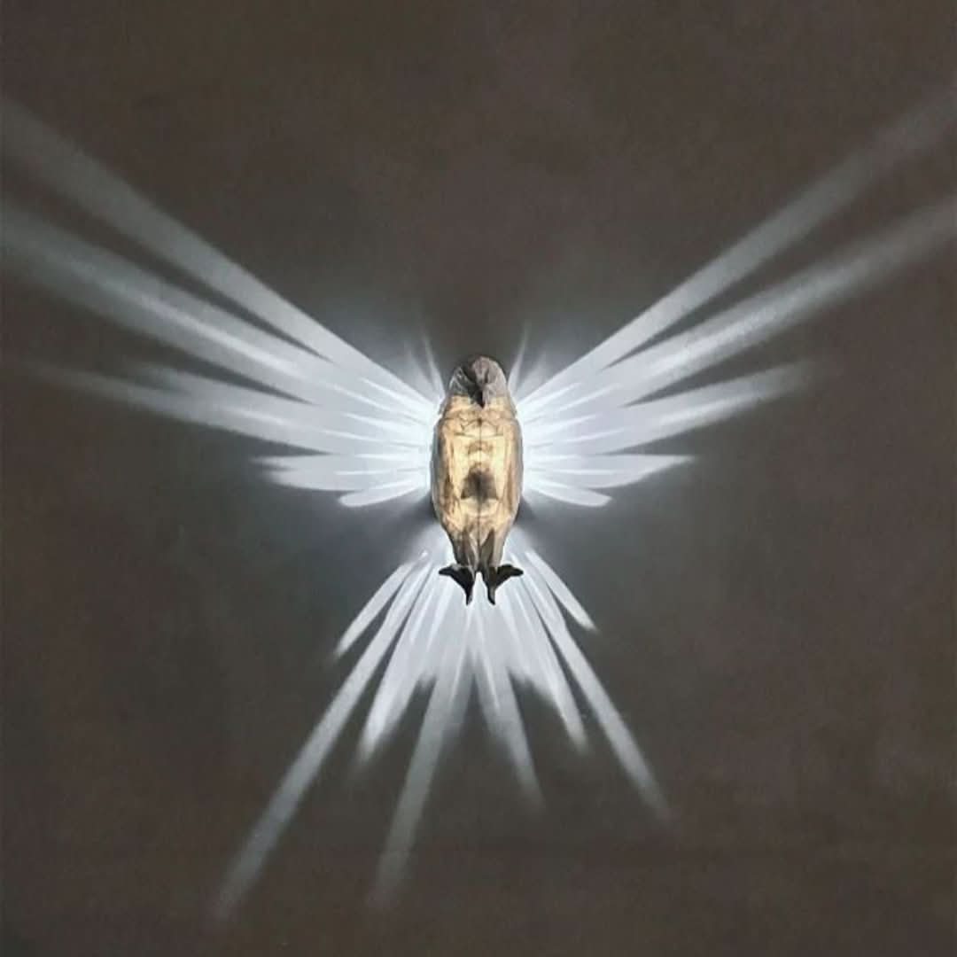 Animales 3D | Luz de pared LED-home decors-VyFlair