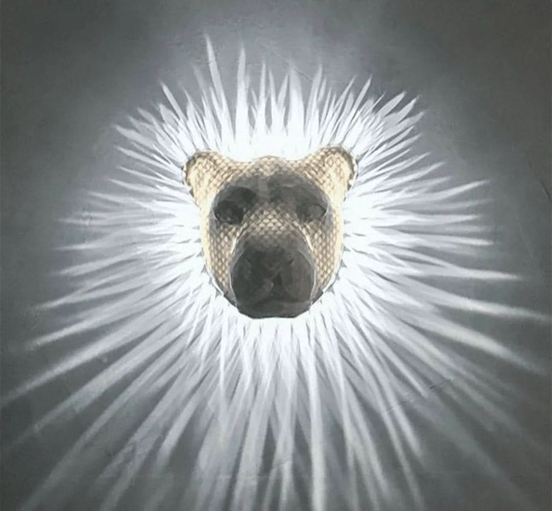 Animales 3D | Luz de pared LED-home decors-VyFlair