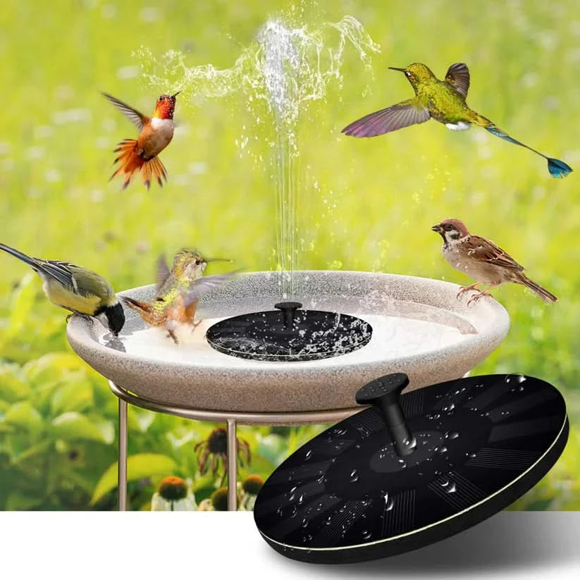 Fuente de energía solar-Solar powered Fountain-VyFlair