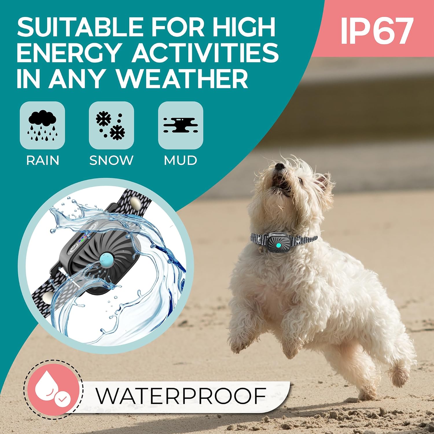 Nina | Collar Anti - Aboiement – Calma Asegurada para Perros Pequeños - VyFlair