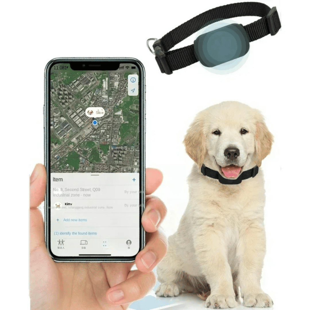 Localizador GPS Mini Impermeable - Animales - Alarma de Movimiento - VyFlair