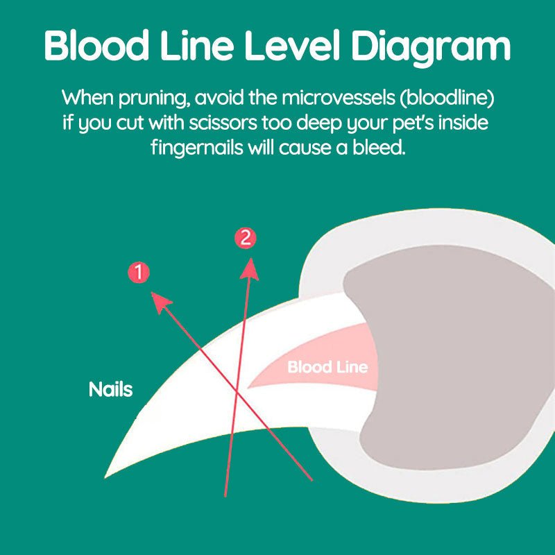 Cortauñas MAX para Perros con Sensores Rápidos - VyFlair
