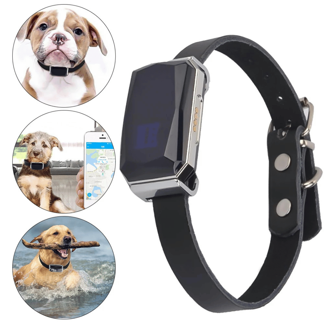 Mini GPS Tracker | Tiempo Real - Impermeable - Mascotas y Niños-Rastreadores-VyFlair
