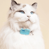 Rastreador GPS Inteligente - Gatos y Perros - Impermeable - VyFlair