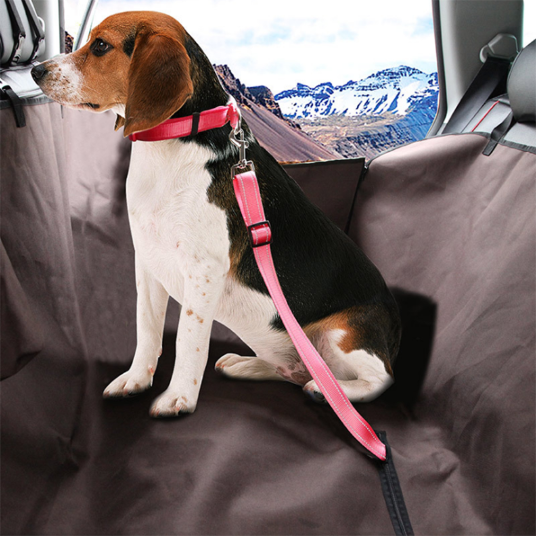 PETSAFE - ¡CINTURA DE SEGURIDAD PARA TUS FIESTO DE CUATRO!-pet supplies-VyFlair