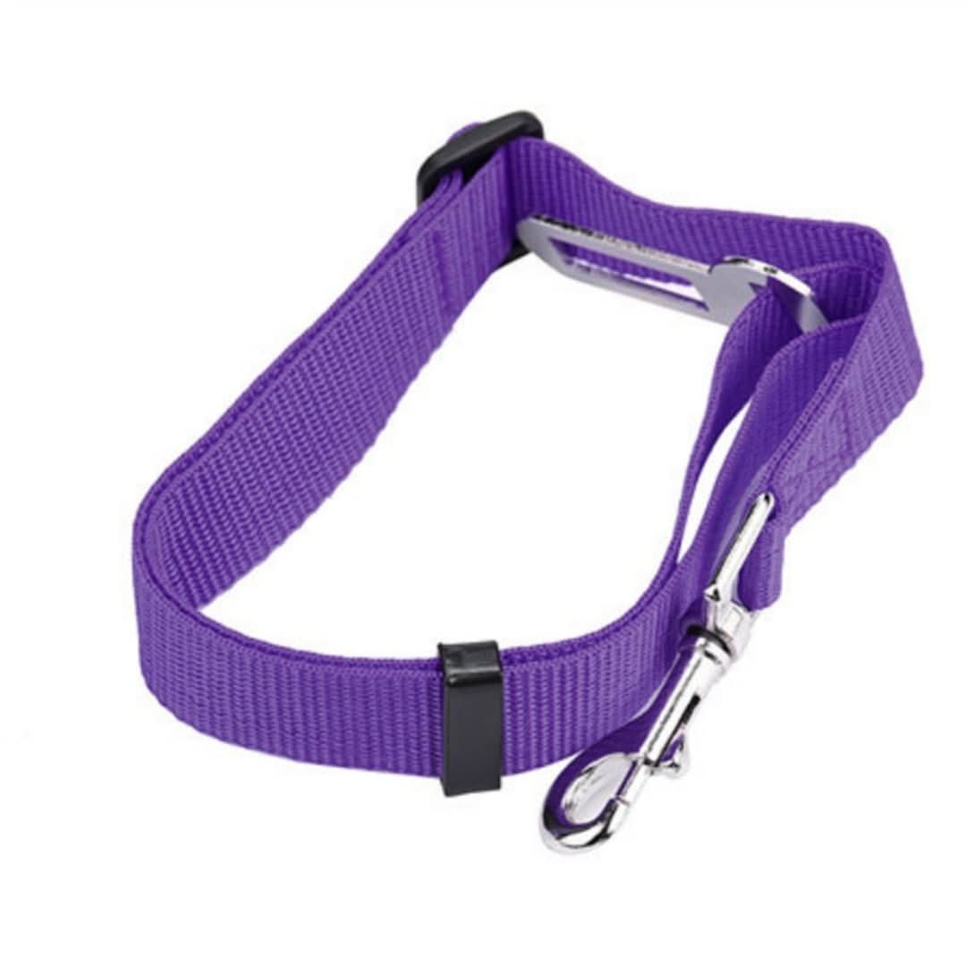 PETSAFE - ¡CINTURA DE SEGURIDAD PARA TUS FIESTO DE CUATRO!-pet supplies-VyFlair