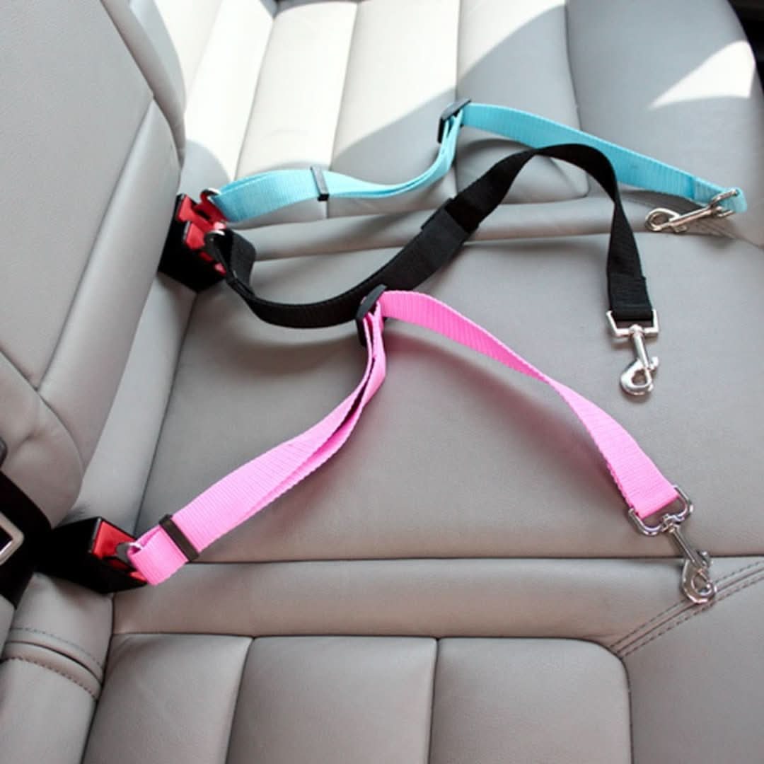 PETSAFE - ¡CINTURA DE SEGURIDAD PARA TUS FIESTO DE CUATRO!-pet supplies-VyFlair