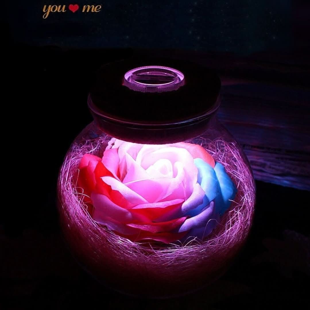 Amor en un frasco - Lifelong Love Rose-Decoration Home-VyFlair