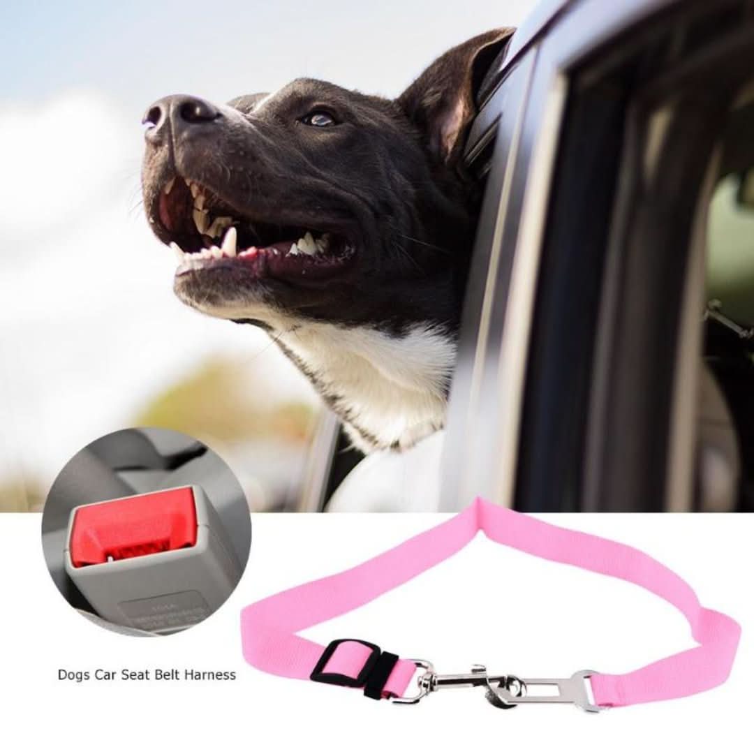 PETSAFE - ¡CINTURA DE SEGURIDAD PARA TUS FIESTO DE CUATRO!-pet supplies-VyFlair