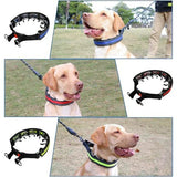 LeadEase Collar Antitirones para Paseos y Entrenamiento - VyFlair