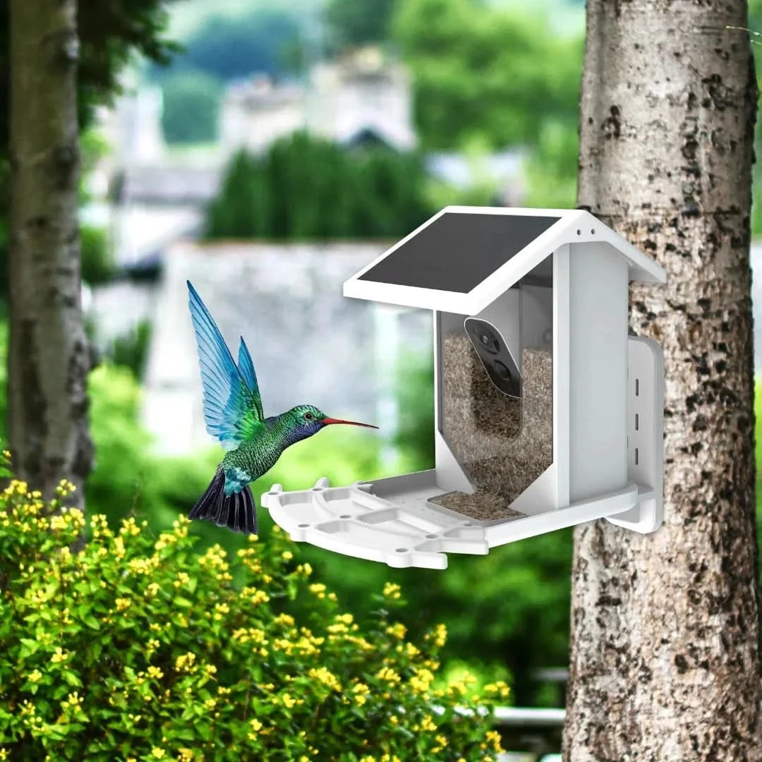 Alimentador de aves solar inteligentes: ¡descubre la naturaleza de una manera única!-bird feeder-VyFlair