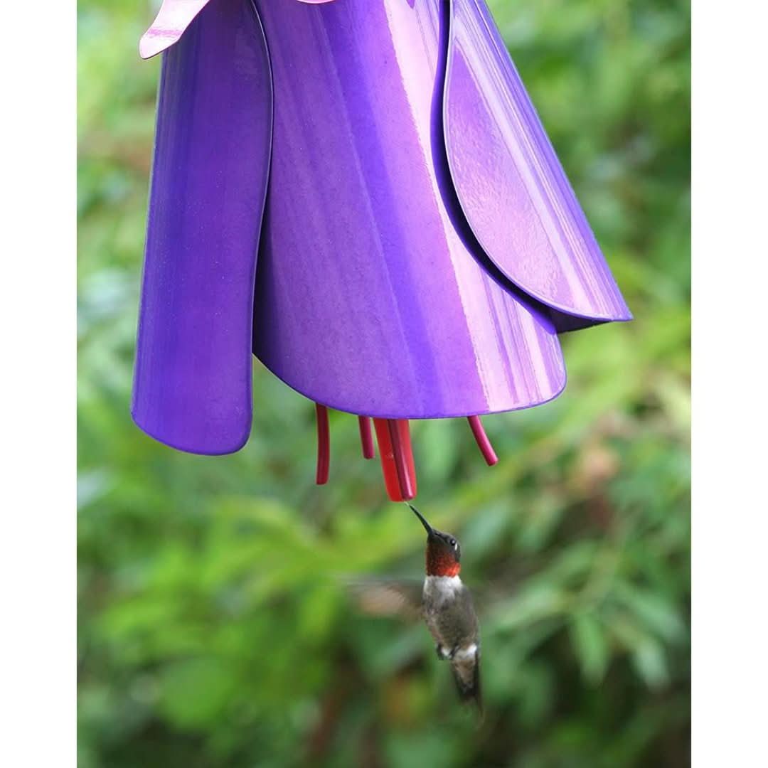 Alimentador de colibrí-bird feeder-VyFlair