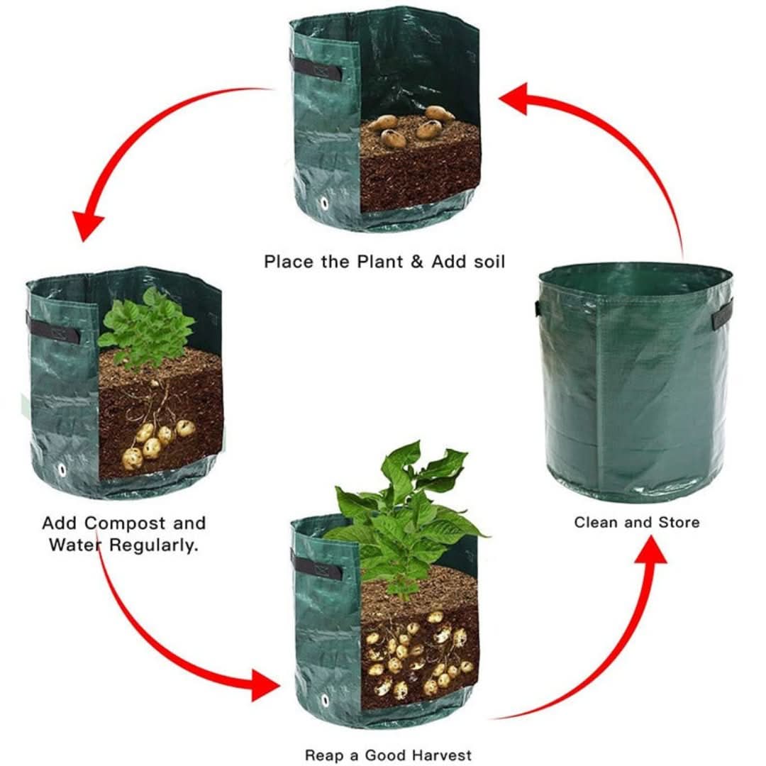 Minigarden: bolsas de crecimiento de vegetales y plantas-Gardening Tools-VyFlair