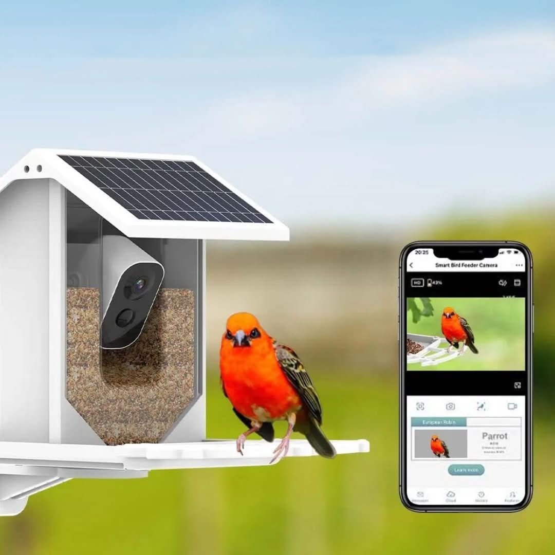 Alimentador de aves solar inteligentes: ¡descubre la naturaleza de una manera única!-bird feeder-VyFlair