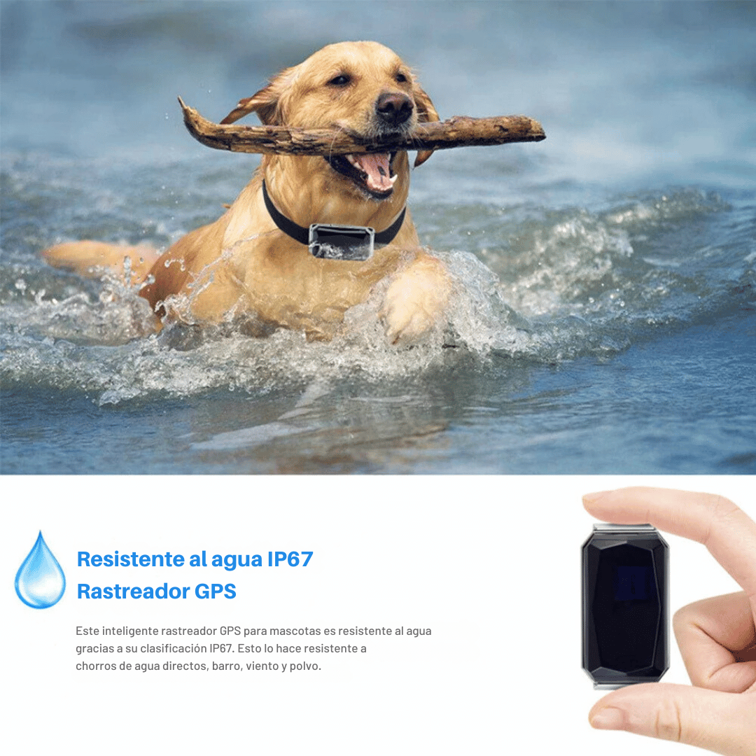 Mini GPS Tracker | Tiempo Real - Impermeable - Mascotas y Niños-Rastreadores-VyFlair