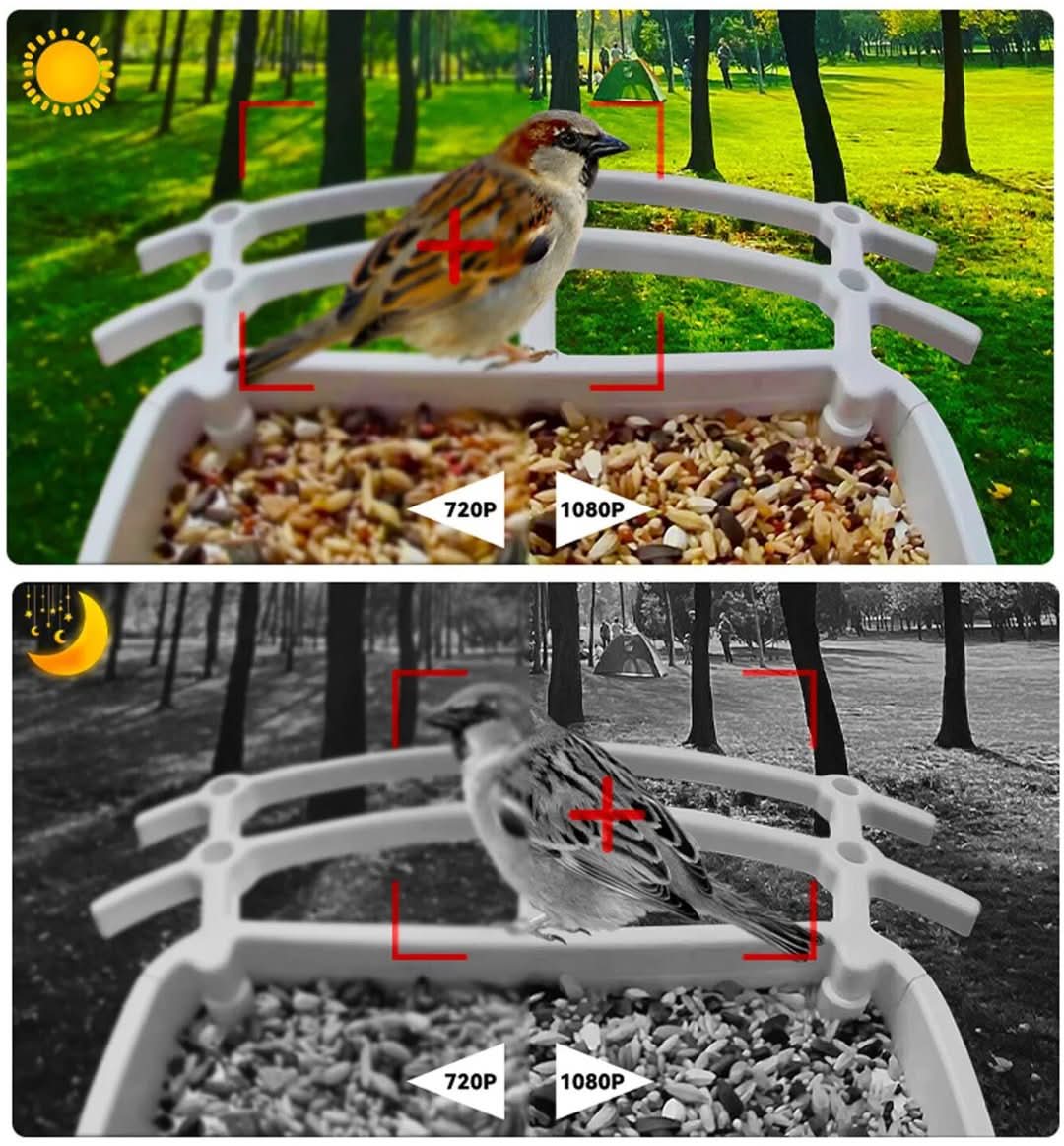 Alimentador de aves solar inteligentes: ¡descubre la naturaleza de una manera única!-bird feeder-VyFlair