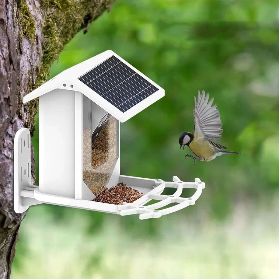 Alimentador de aves solar inteligentes: ¡descubre la naturaleza de una manera única!-bird feeder-VyFlair