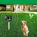 Repelente Solar Ultrasónico Exterior con Sensor de Movimiento - VyFlair
