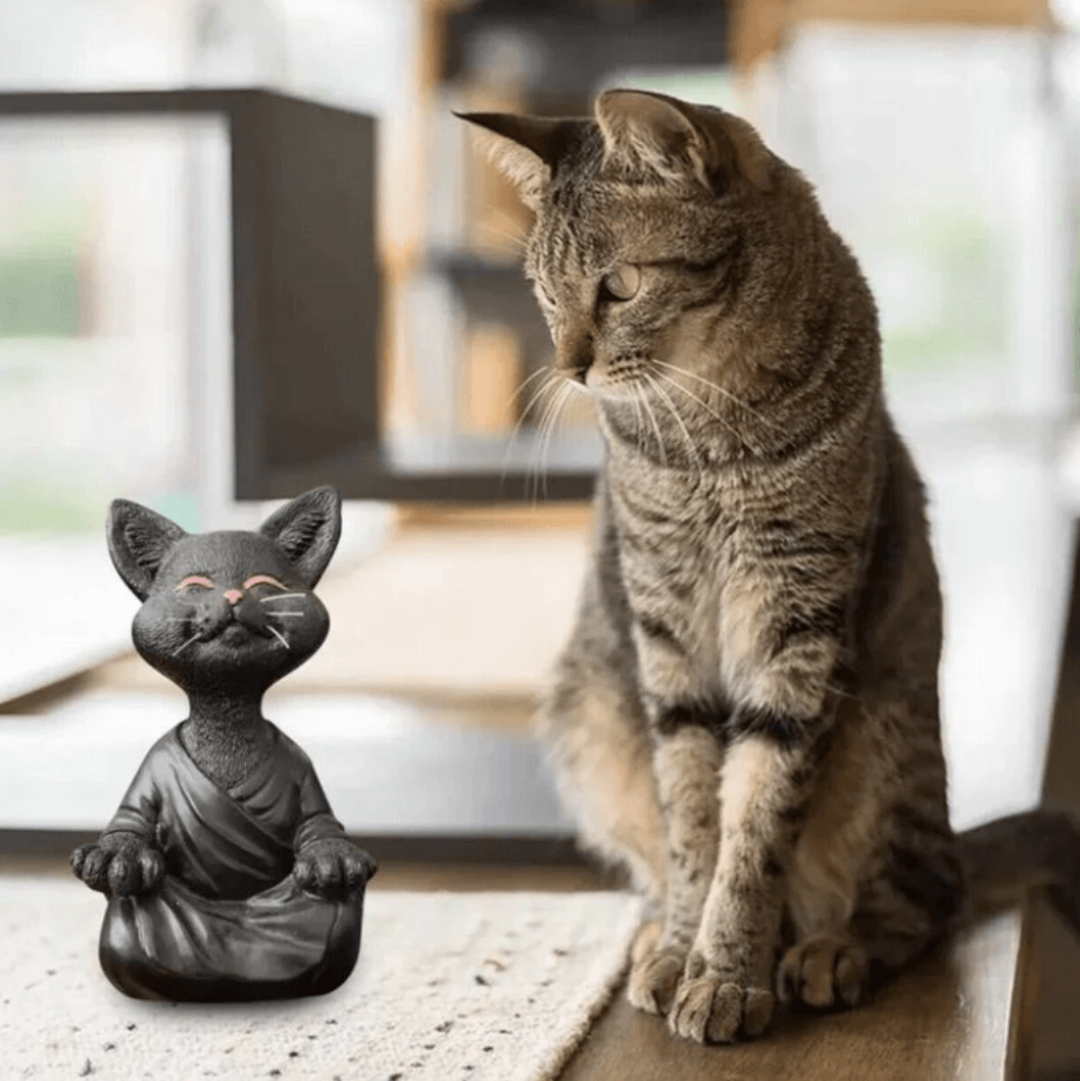 Buda gato-decor-VyFlair