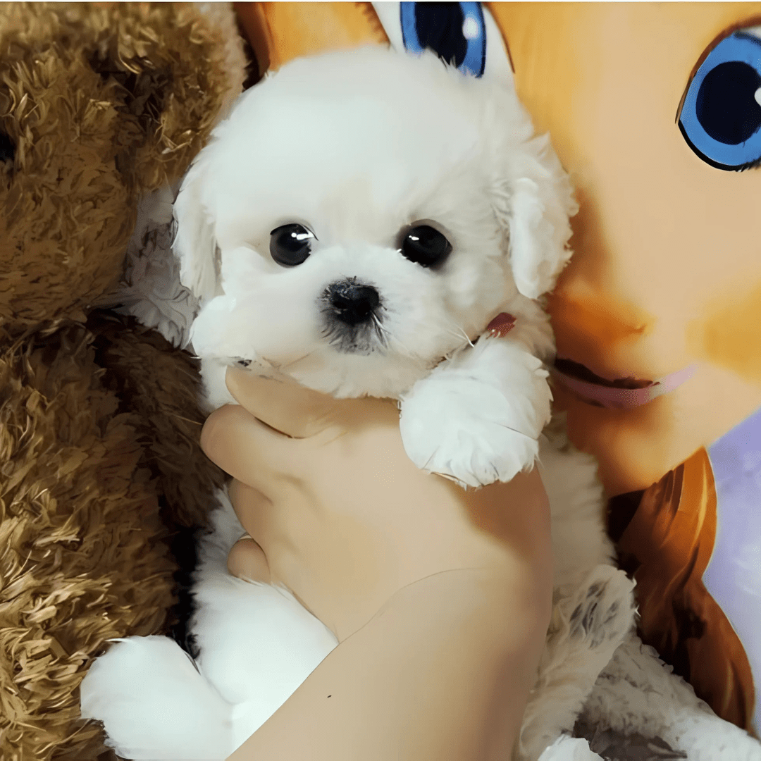 Cojín de Abrazo Cachorro de Peluche Realista - VyFlair