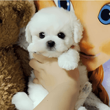 Cojín de Abrazo Cachorro de Peluche Realista - VyFlair