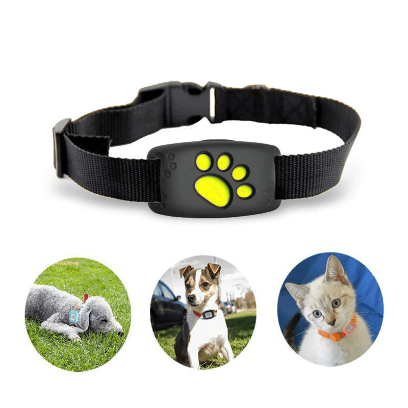 Collar GPS Mascotas Perros y Gatos Impermeable - VyFlair