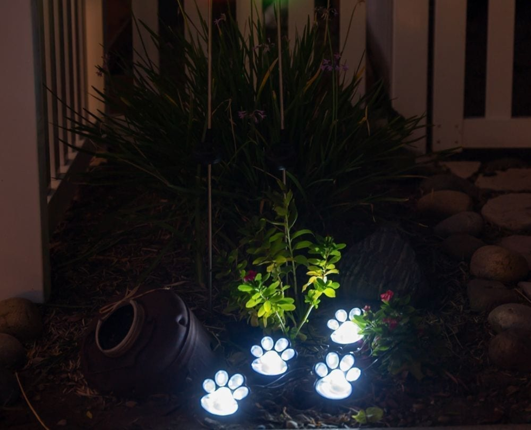Pawlight - Luces de jardín solar-solar garden light-VyFlair