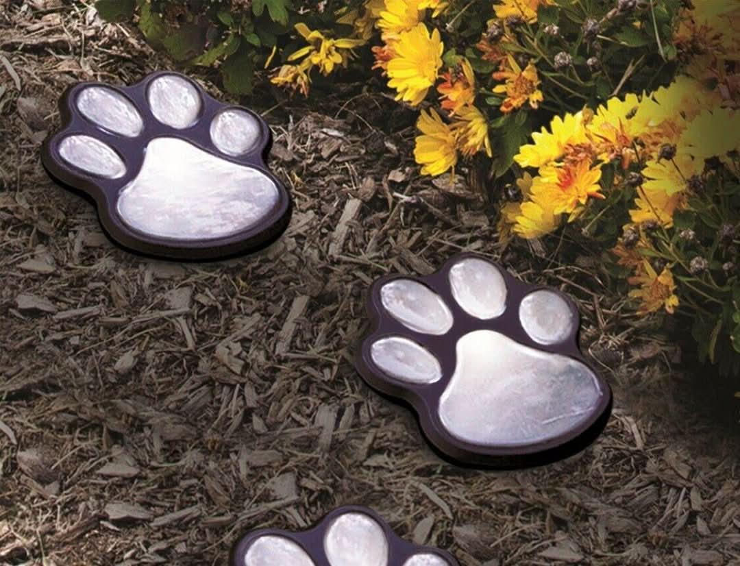 Pawlight - Luces de jardín solar-solar garden light-VyFlair