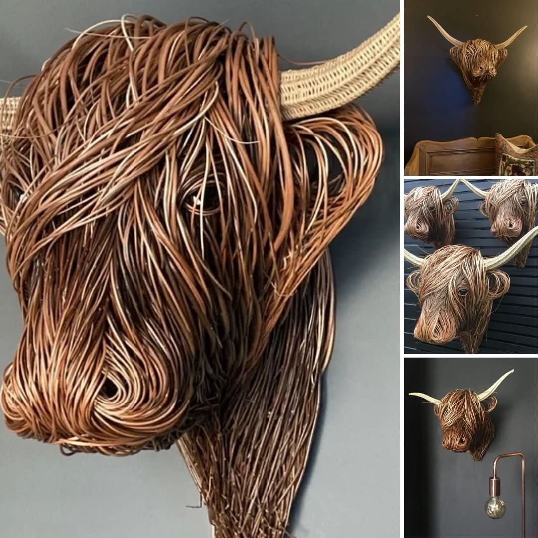 Copa de meseta | Peinado enredado-decor-VyFlair