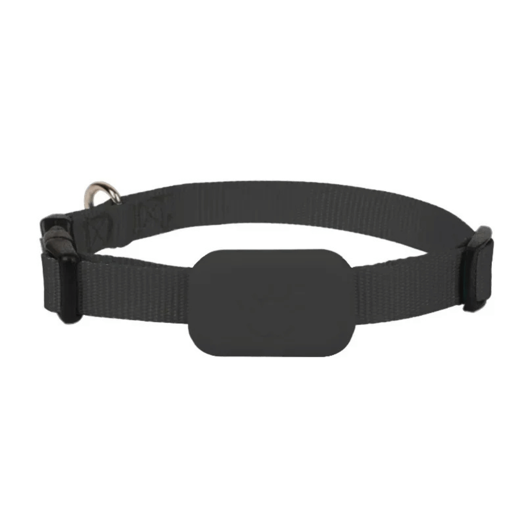 Localizador GPS Mini Impermeable - Animales - Alarma de Movimiento-Rastreadores-VyFlair