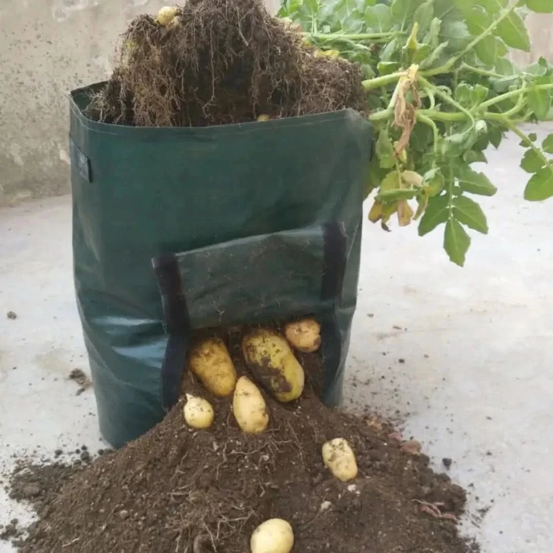Minigarden: bolsas de crecimiento de vegetales y plantas-Gardening Tools-VyFlair