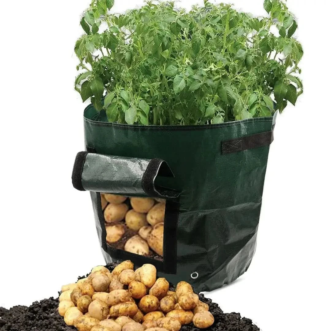 Minigarden: bolsas de crecimiento de vegetales y plantas-Gardening Tools-VyFlair