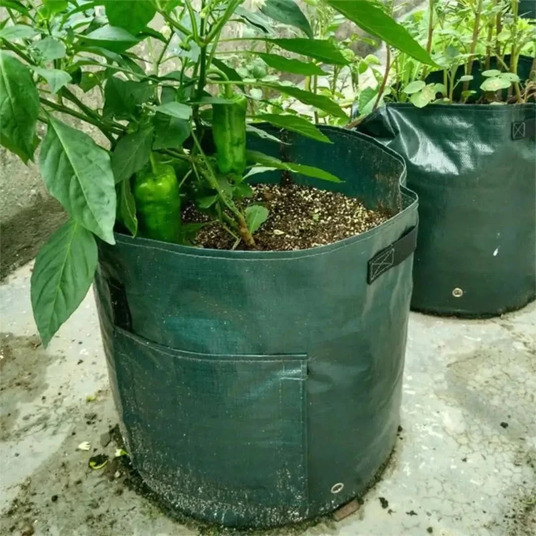 Minigarden: bolsas de crecimiento de vegetales y plantas-Gardening Tools-VyFlair