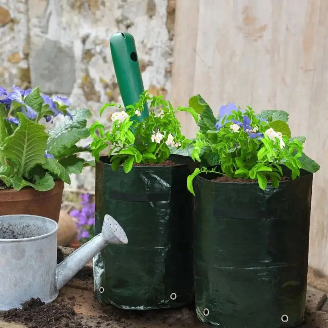 Minigarden: bolsas de crecimiento de vegetales y plantas-Gardening Tools-VyFlair