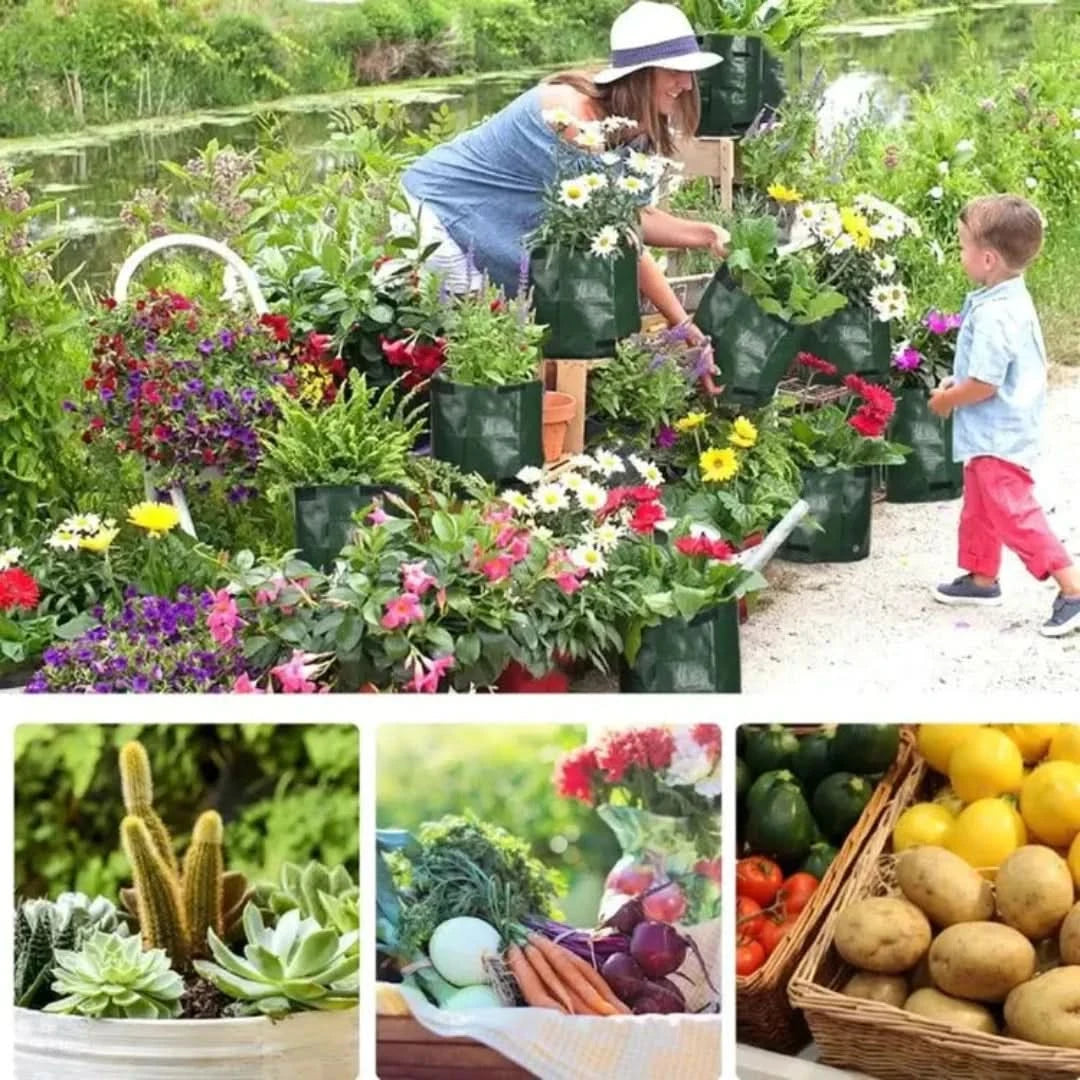 Minigarden: bolsas de crecimiento de vegetales y plantas-Gardening Tools-VyFlair