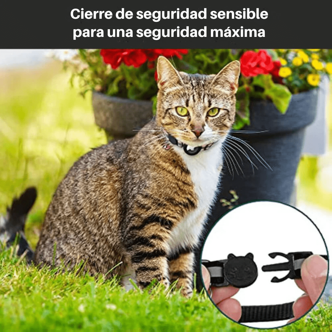 Collar GPS Reflectante con Cierre para Gatos - VyFlair