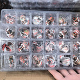 Calendario dell'Avvento per Cani Bassotto – 24 Giorni di Gioia, Amore e Spirito Natalizio